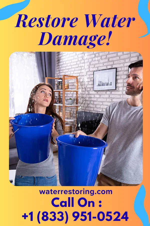 water restoration Shield Extraction & Associates Wacousta