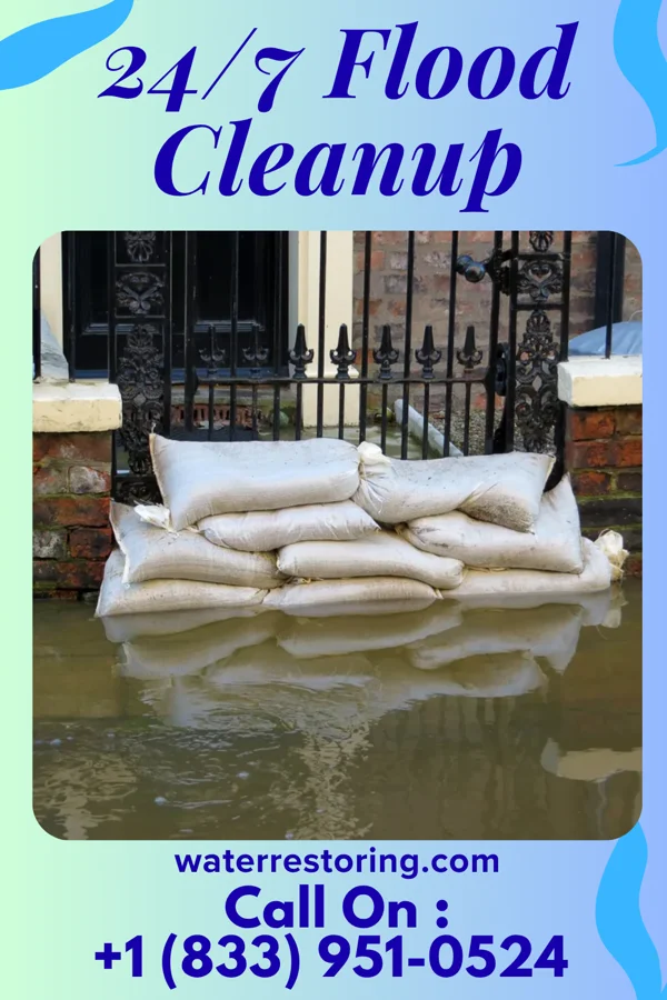 24/7 Flood Cleanup in Wacousta, MI