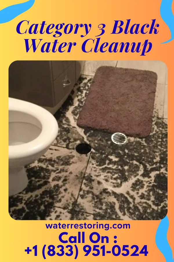 Category 3 Black Water Cleanup in Wacousta, MI