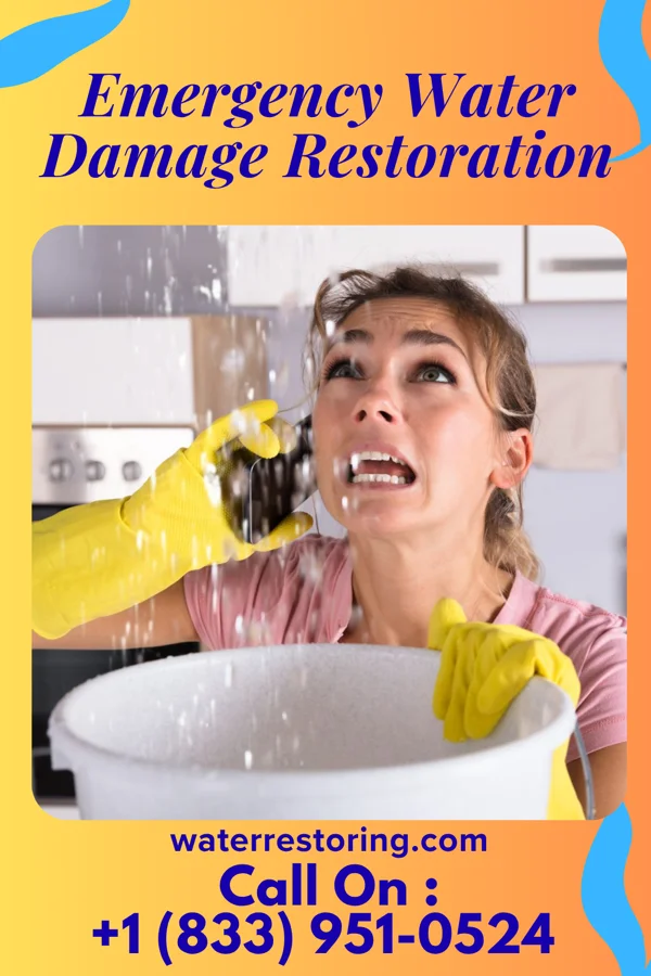 Emergency Water Damage Restoration in Wacousta, MI