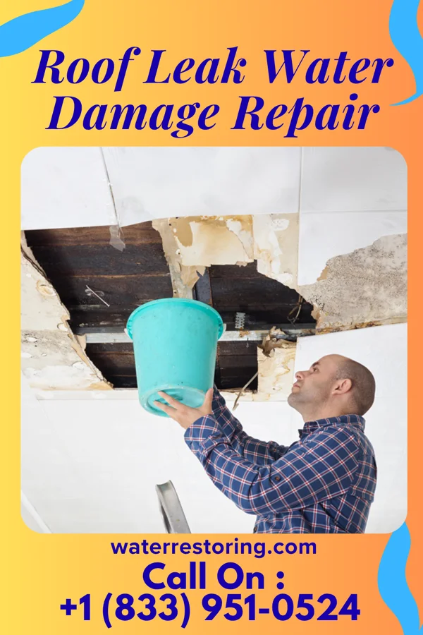 Roof Leak Water Damage Repair in Wacousta, MI