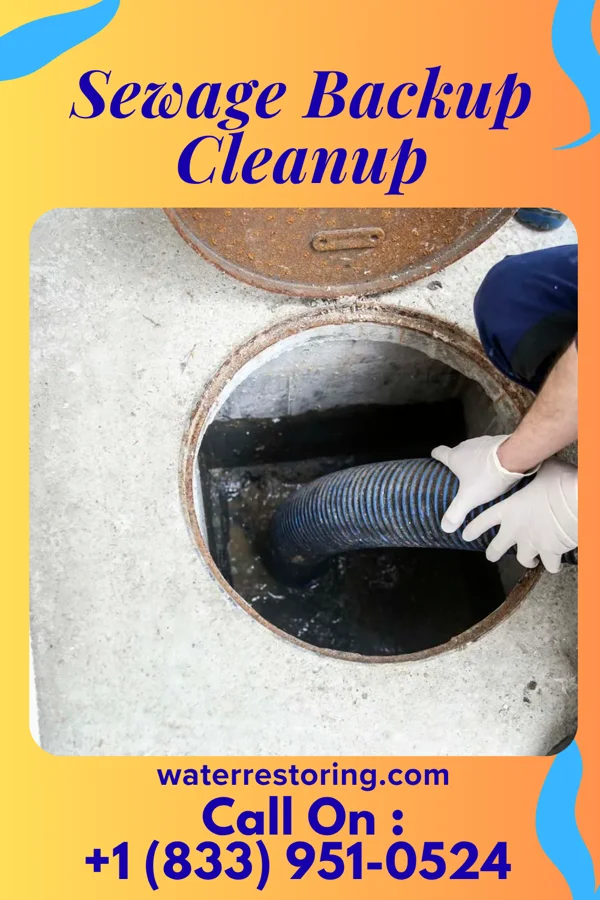 Sewage Backup Cleanup in Wacousta, MI