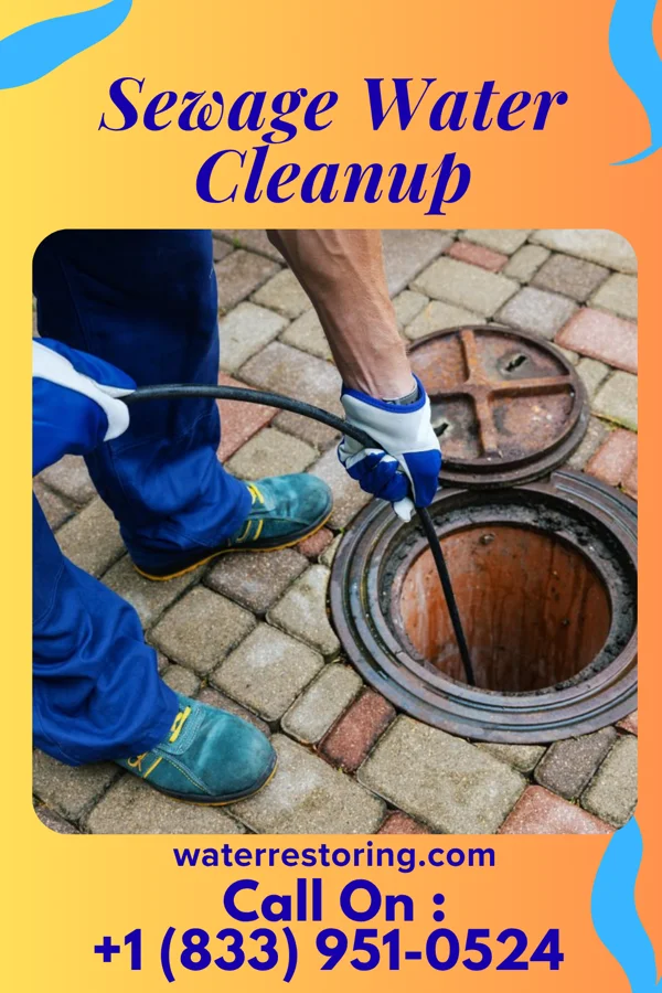Sewage Water Cleanup in Wacousta, MI