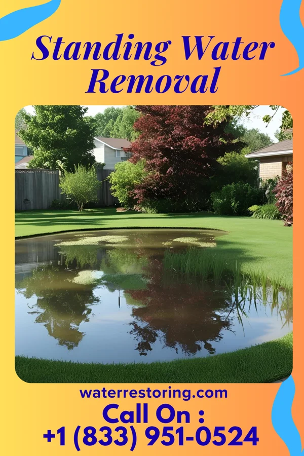 Standing Water Removal in Wacousta, MI